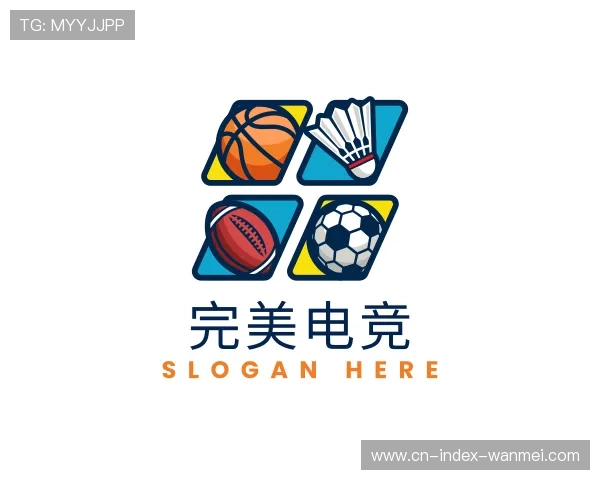 了解完美电竞官网